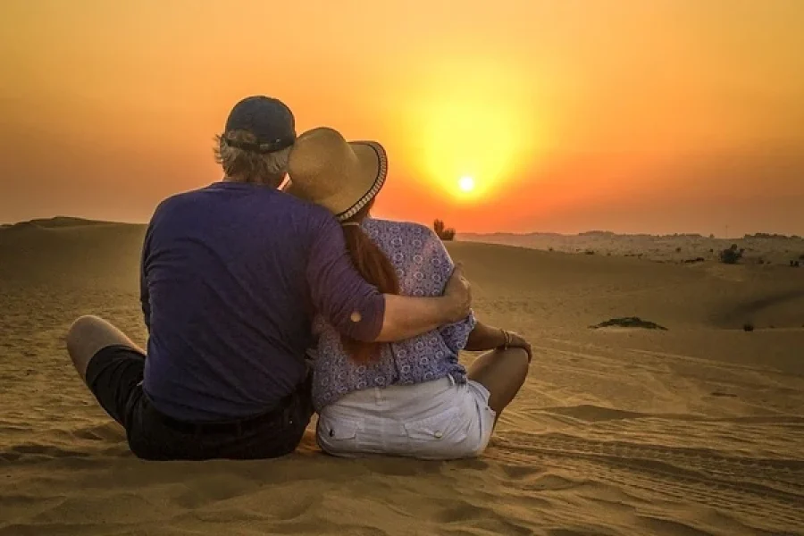 Sunrise Explorer — Morning Safari